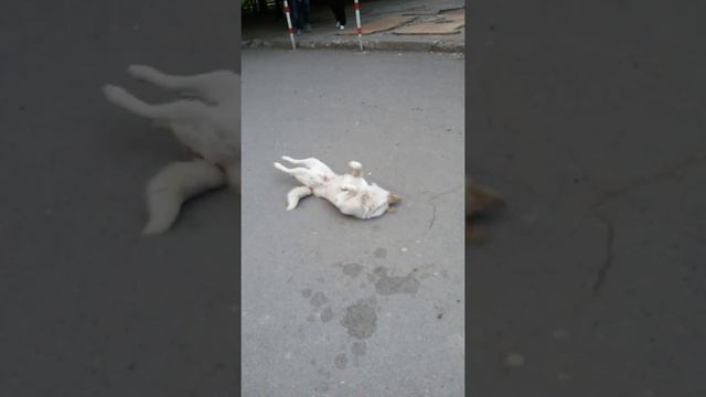 После пьянки смотреть онлайн