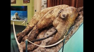 Бока Чика ч1 26-28 Юрий Скоробогатько Аудиокнига