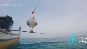 Рыбалка на Сахалине! #ПриезжайНаСахалин