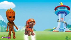 Paw Patrol Transforms Into Baby Groot - Paw Patrol Finger Family Nursery Rhymes