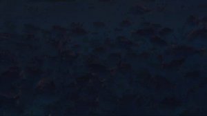 Maldives Gulhi Island Review | TRAVEL GUIDE & VLOG + UNDERWATER