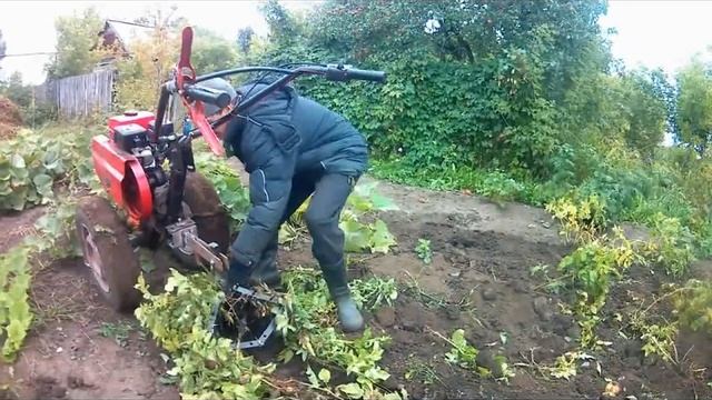 ✅ Веерная картофелекопалка для мотоблока Ока! отзыв
