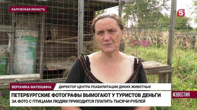 Фото с милым животным нарушает законы России