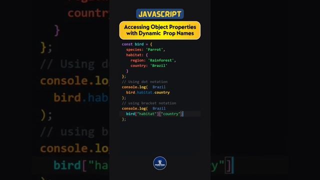 How to get dynamic access to an object property in JavaScript #javascript #javascriptdeveloper