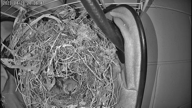 Такая наша сегодняшняя жизнь