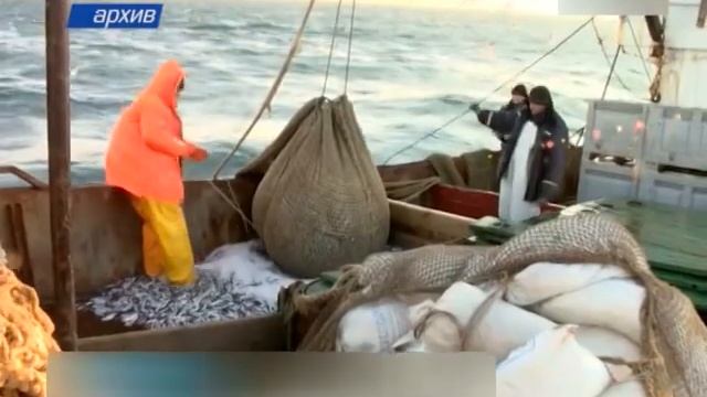 Черноморские и азовские рыбаки под контролем пограничников смотреть онлайн