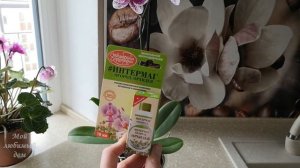 ОРХИДЕЯ после покупки сбросила бутоны! Восстановление орхидеи из магазина.