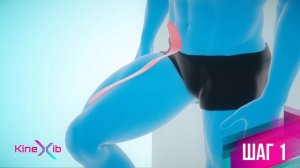Kinexib - тейпирование повздошно-поясничной мышцы
