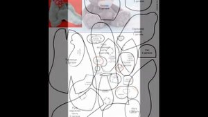 Как сшить мишку своими руками