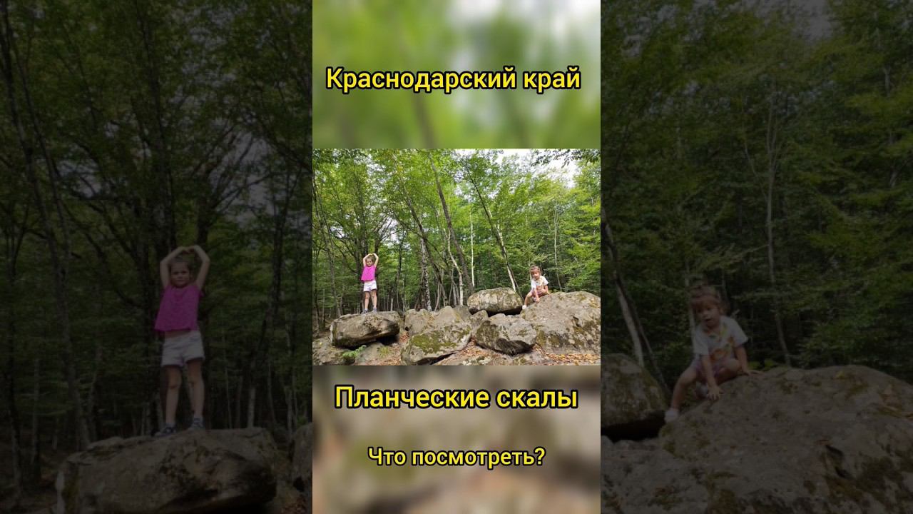 Планческие скалы #отдыхвкраснодарскомкрае #кубань Музыка: SunnyМузыкант: @iksonmusic смотреть онлайн
