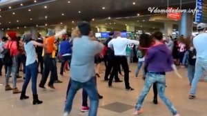 Новогодний флешмоб в аэропорту Домодедово