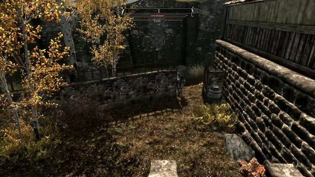 Skyrim - Vald vs. The Town of Riften