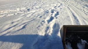 тофалар 500 самодельный отбойник на сани, разочарование.