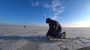 Рыбалка? на Волге? Ловля Окуня и Берша на тюльку? Зимняя рыбалка 2021