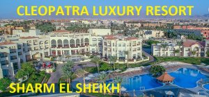 Обзор Cleopatra Luxury Resort Sharm El Sheikh-2021год.mp4