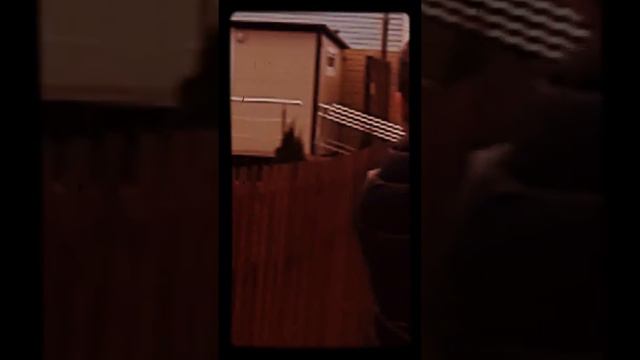 Побег из зоопарка смотреть онлайн