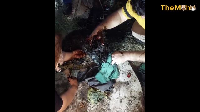 Poor Dog Was Covered With Bitumen, His Whole Body Was Frozen Still Trying to Survive смотреть онлайн