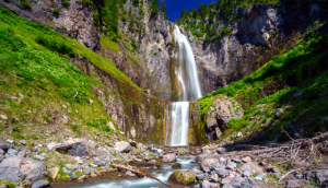 Один час звуков джунглей, журчания воды и щебетания птиц ✦ релакс ✦ relax