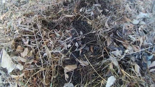 Коп на копанном месте,возле