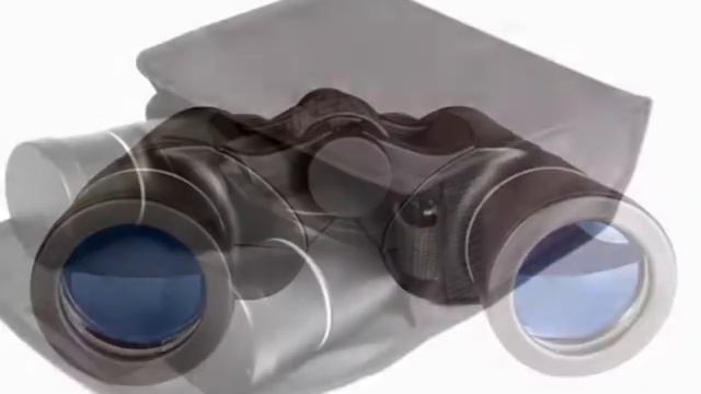 Видео-обзор бинокля Levenhuk Bino PLUS 8x40 смотреть онлайн