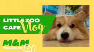 Таиланд 2022. Бангкок. Кафе с королевскими корги