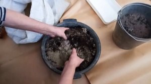 Пересадка черенков винограда в контейнеры