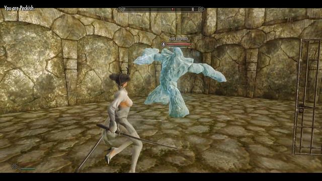 Skyrim New Creature Animation - Frost Atronach смотреть онлайн