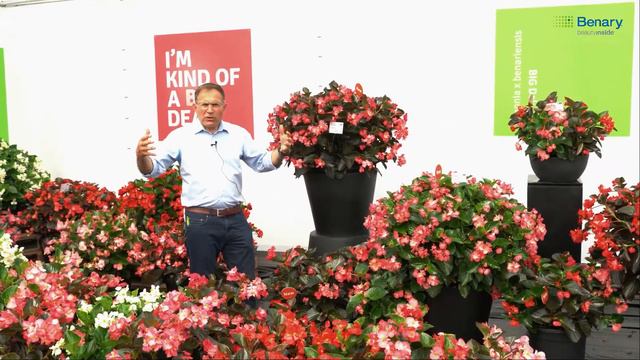 Jean Bessette presents BIG® & BIG® DeluXXe смотреть онлайн