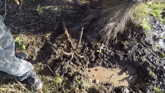 Коп Металлолома на берегу Волги