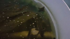 стоимость УЗВ на 30 кубов своими руками