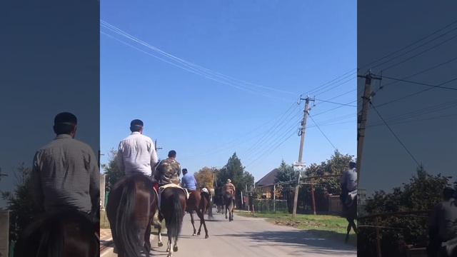 Конный поход «Дикой Дивизии» в г.Сунжа смотреть онлайн