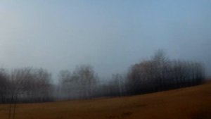 Охота на косулю 2021год.  И снова первый загон!