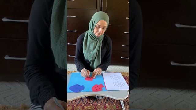 M5C Fish Memory Game. With Ms. Zohra смотреть онлайн