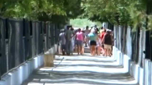 Сюжет Аскания Нова 05,05,2014 смотреть онлайн