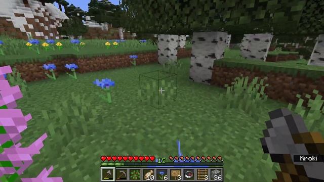 Apiculture in the Minecraft Java Version - 004. 2023 01 09 13 23 28 01 смотреть онлайн