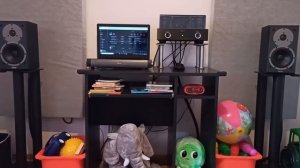 dynaudio dm 2 / 6 cayin mts 35