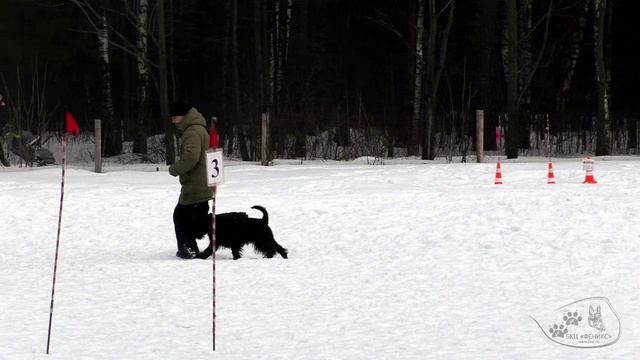 19.02.2022 г. "Моя собака" / Гайлит Владимир и Рокси