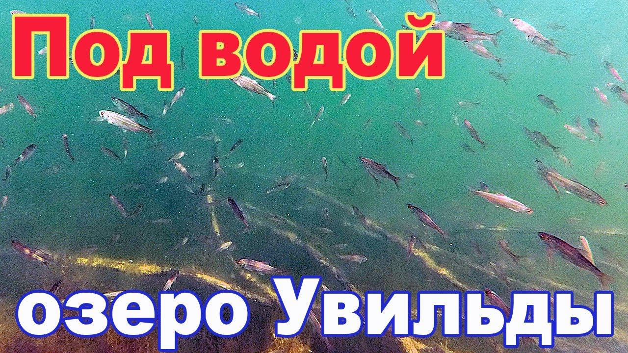 Под водой на озере Увильды - пришла жара на Южный Урал ч.2