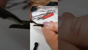 Зимняя прививка яблони и груши. Копулировка.