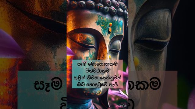 දුකින් මිදීමේ යතාර්ථය #මම #niwana #අවිද්යාව #සසර #නිවන #යථාභූතඤාණය  #ලෝකය #universalconsciousness