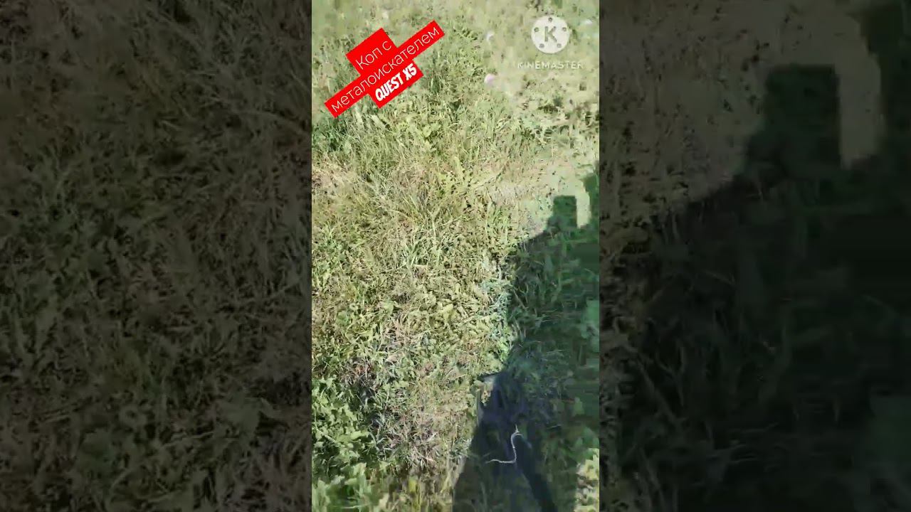 коп с металоискателем quest x5 #металоискатель #questx5 смотреть онлайн