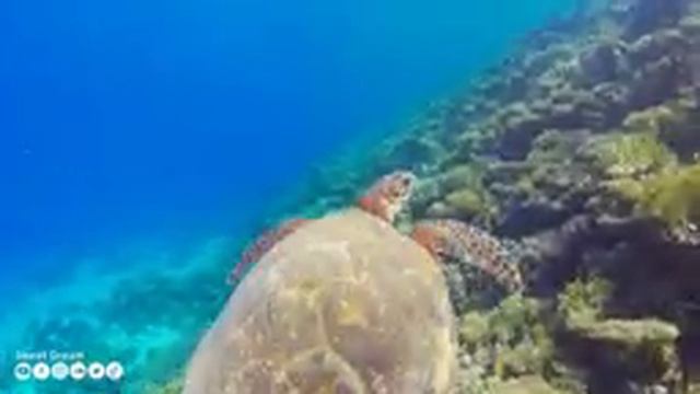 Нежная музыка и успокаивает нервную систему - лечебная музыка для сердца и радует душу #188 смотреть онлайн