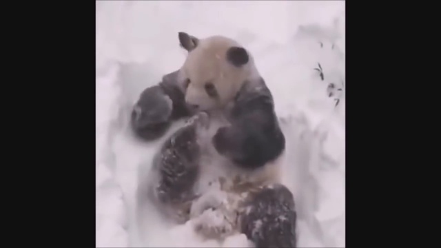 Попробуй не засмейся!!!!!
