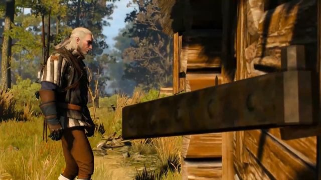 Прохождение The Witcher 3 Wild Hunt►Да,вот это сестра!►#6 смотреть онлайн