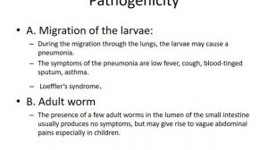 A  lumbricoides