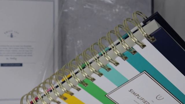 Simplified Daily Planner & Accessories Haul by Emily Ley // VLOGUST Day 2 смотреть онлайн