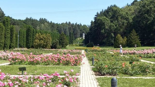 КИСЛОВОДСКИЙ ПАРК ДОЛИНА РОЗ 2021. Кисловодск. КМВ 2021. 18+