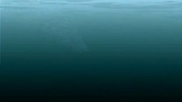 Подводная лодка "Минога" смотреть онлайн