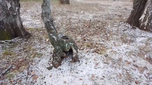 Место для жительства свободно смотреть онлайн