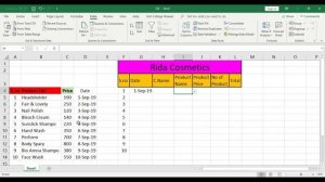 How to use Data Validation in Excel in Urdu - Class No 15